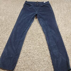 Banana Republic Corduroy Pants Mens 32x32 Blue Slim Straight Preppy